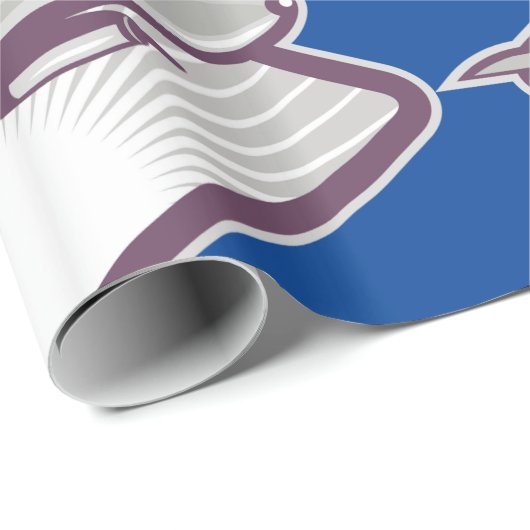 Jet Airplane Cadeaupapier (Rol Hoek)