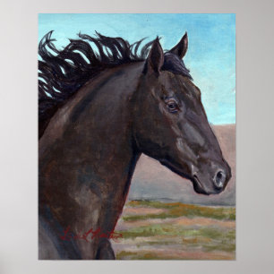 Jet : Band Stallion of Zand wasbekken Poster