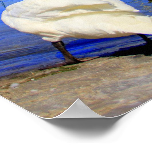 Jet d'Eau Poster (Hoek)