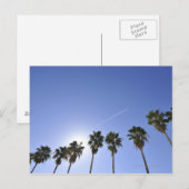 Jet Stream over palmbomen Briefkaart (Voorkant / Achterkant)