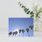 Jet Stream over palmbomen Briefkaart (Staand voorkant)