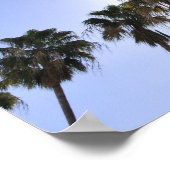 Jet Stream over palmbomen Poster (Hoek)