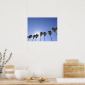Jet Stream over palmbomen Poster (Keuken)