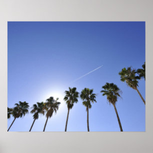 Jet Stream over palmbomen Poster