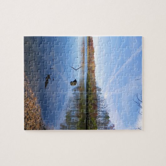 Jetstream Reflections - 8x10 - 110 pcs. Legpuzzel (Horizontaal)