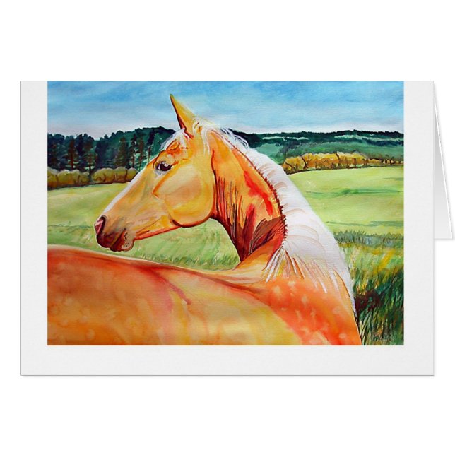 Jetta (Voorkant Horizontaal)