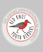 Jeugd Hoodie met Rode Knoop Logo (Kraag)