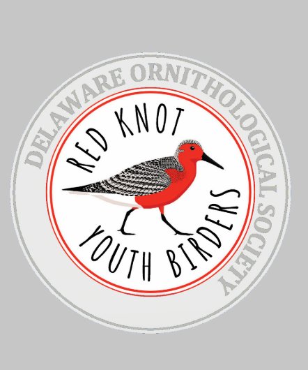 Jeugd Hoodie met Rode Knoop Logo (Kraag)