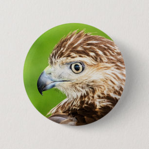 Jeugd Rode De steel verwijderde van Havik Ronde Button 5,7 Cm