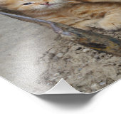 Jeuk Foto Afdruk (Hoek)