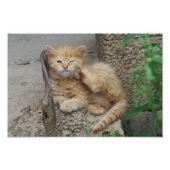 Jeuk Foto Afdruk (Voorkant)