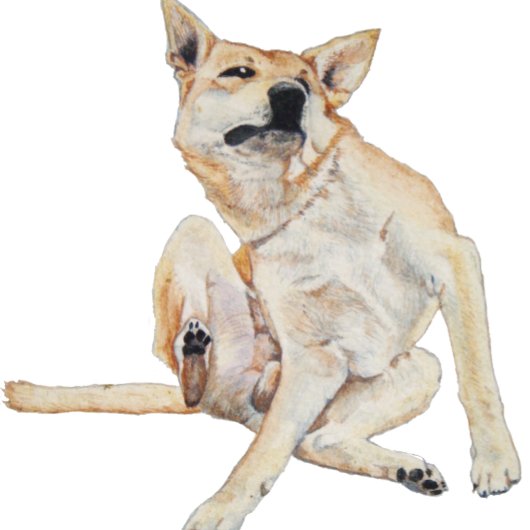 jeukende hond die schilderij krast met een grappig t-shirt