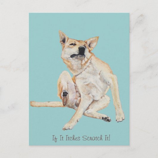 jeukende hond krabt afbeelding met grappige slogan briefkaart (Voorkant)