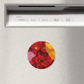 Jewel Magneet (Insitu (Vaatwasser))