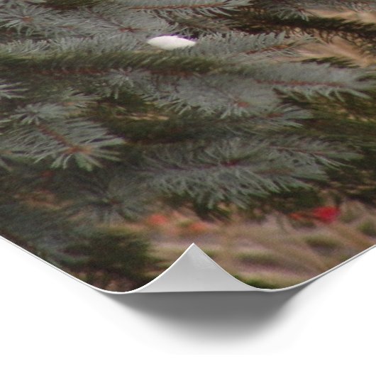 Jewel onder bomen poster (Hoek)