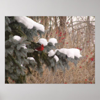 Jewel onder bomen poster