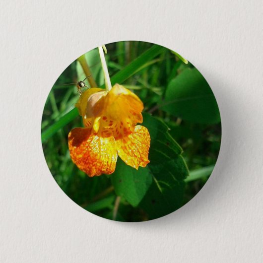 Jewel Weed, wilde bloem Ronde Button 5,7 Cm (Voorkant)