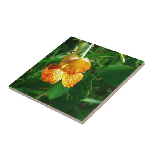 Jewel Weed, wilde bloem Tegeltje (Zijkant)