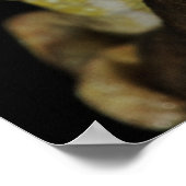 Jeweled chameleon of Campan's chameleon Poster (Hoek)