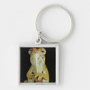 Jeweled chameleon of Campan's chameleon Sleutelhanger