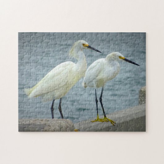 Jewelry Herons Florida Legpuzzel (Horizontaal)