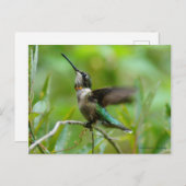 Jewels Adorn Briefkaart (Voorkant / Achterkant)