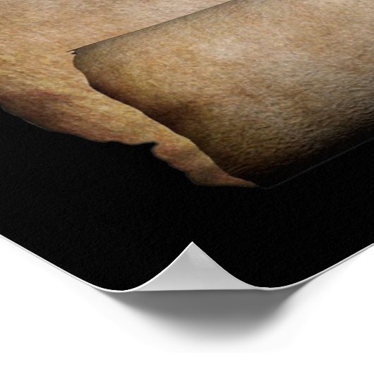 Jezus Christus Crown of Thorns on Scroll Poster (Hoek)