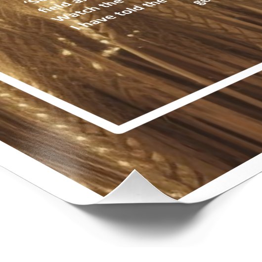 Jezus - De Grote Boaz Perfect Poster (Hoek)