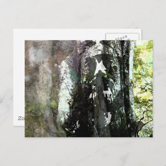 Jezus en de boom briefkaart (Voorkant / Achterkant)