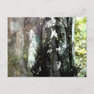 Jezus en de boom briefkaart