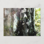 Jezus en de boom briefkaart (Voorkant)