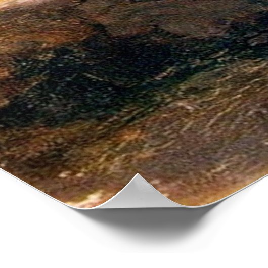 Jezus en de Samaritaanse vrouw in Jacob's welbevin Poster (Hoek)