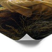 Jezus Laments voor Jeruzalem. Luke 13:34 Poster (Hoek)