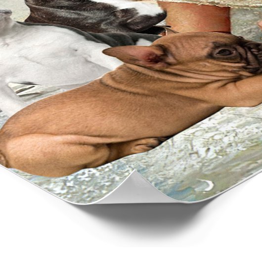 Jezus omringd door B?y French Bulldog Poster (Hoek)