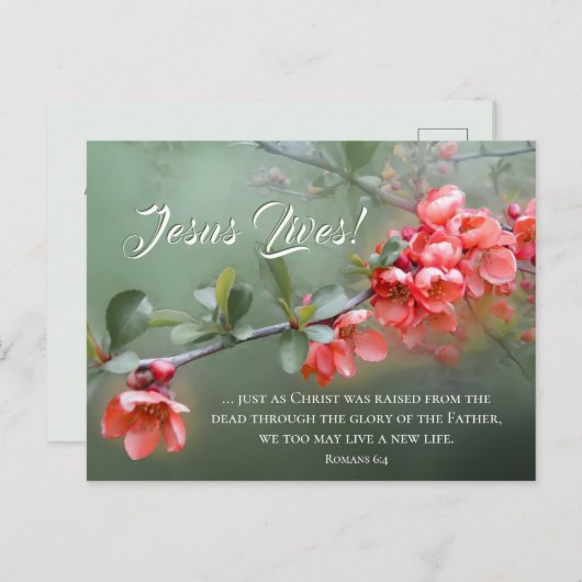 Jezus woont in de lente - dwerg briefkaart (Voorkant / Achterkant)