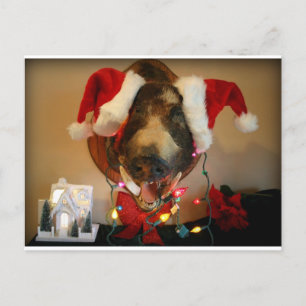 JG kerstkaart Briefkaart