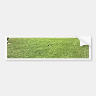 jGibney van het op-de-Green van stratford-op-Avon Bumpersticker