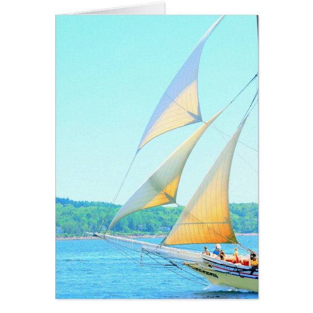 Jibs afgelost (Voorkant)