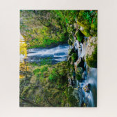 Jigsaw Cascade Falls Mission British Columbia. Legpuzzel (Verticaal)