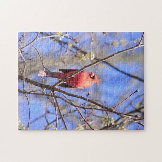 Jigsaw puzzel mannelijke noordelijke kardinaal in  (Horizontaal)