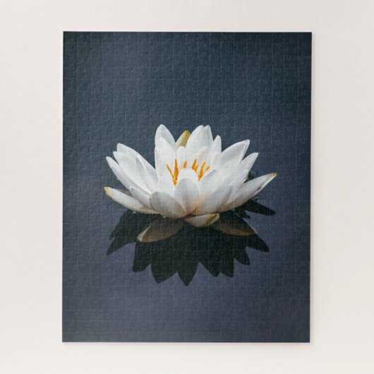 JIGSAW PUZZLE : LOTUS OP WATER LEGPUZZEL (Verticaal)