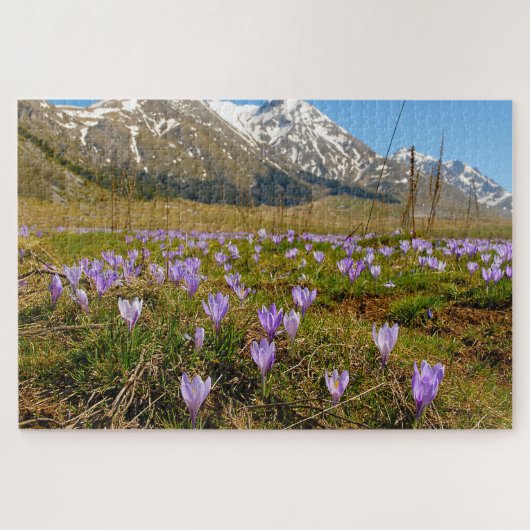 Jigsaws Crocuses Abruzzo Gran Sasso Italië. Legpuzzel (Horizontaal)