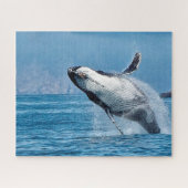 Jigsaws Humpback Whales. Legpuzzel (Horizontaal)