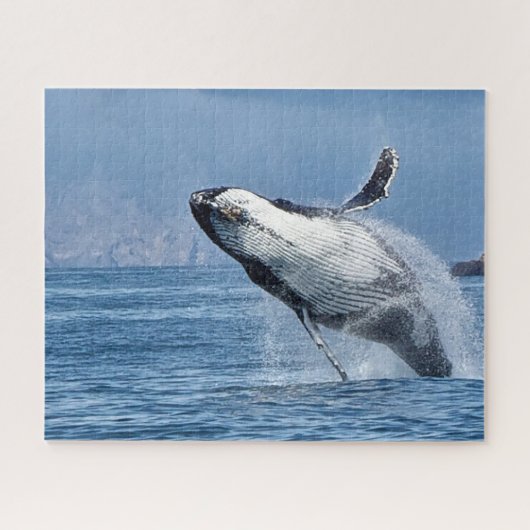 Jigsaws Humpback Whales. Legpuzzel (Horizontaal)