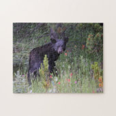 Jigsaws Jasper National Park Canada. Legpuzzel (Horizontaal)