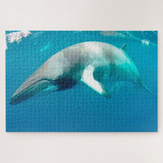 Jigsaws Minke Whales. Jigzaag Puzzle Legpuzzel (Horizontaal)