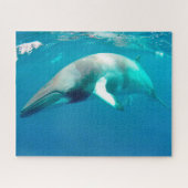 Jigsaws Minke Whales. Legpuzzel (Horizontaal)