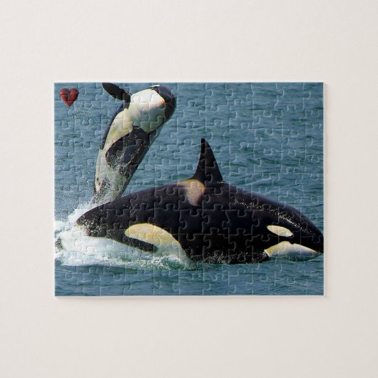 Jigsaws Orcas of Killer Whales Legpuzzel (Horizontaal)