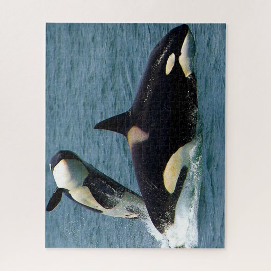 Jigsaws Orcas of Killer Whales Legpuzzel (Verticaal)