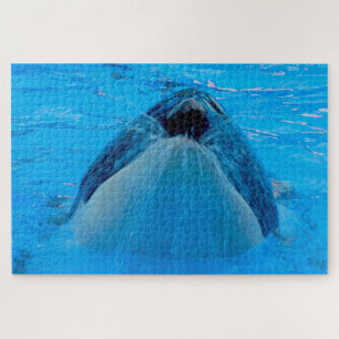Jigsaws Orka's of Moordwalvissen Jigsaw Puzzel